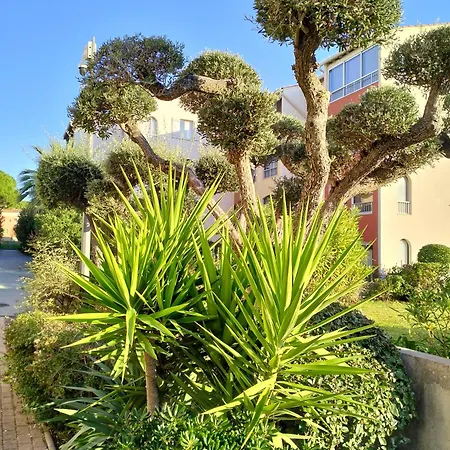 Le Lagon Bleu Borneo